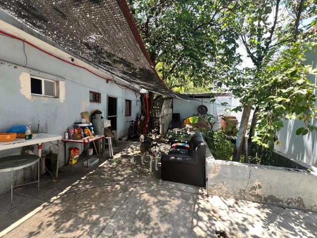 place photo 46