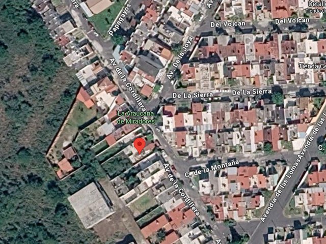 place photo 10