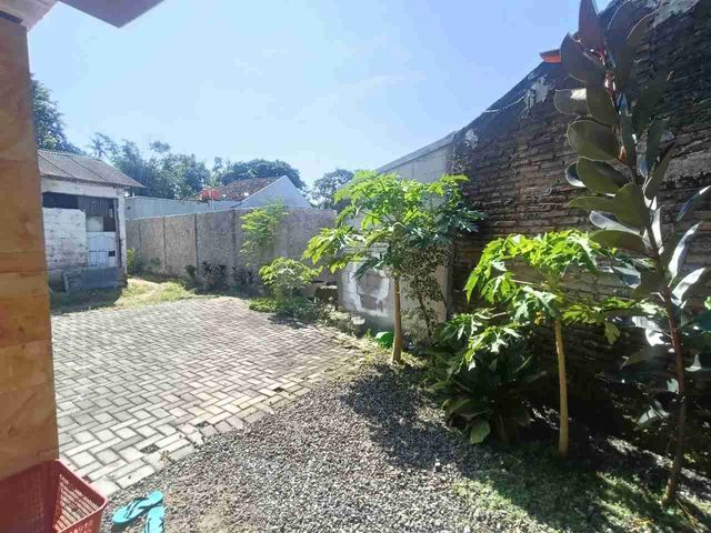place photo 12