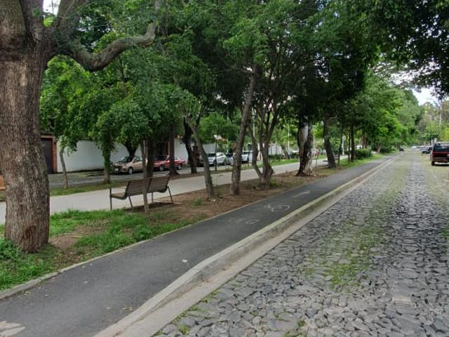place photo 54