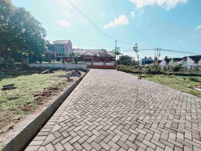 place photo 8