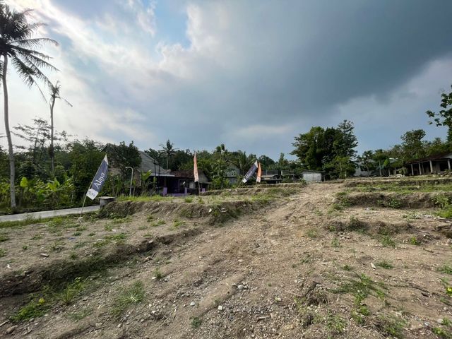place photo 6