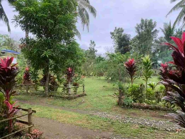place photo 48