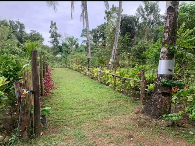 place photo 49