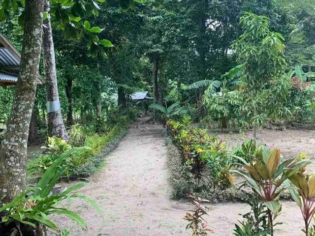 place photo 50