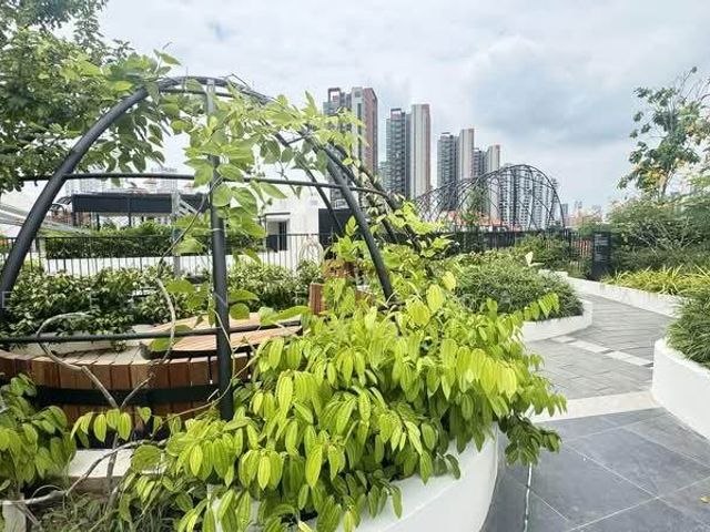 place photo 25