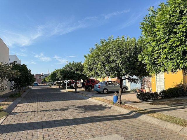 place photo 26