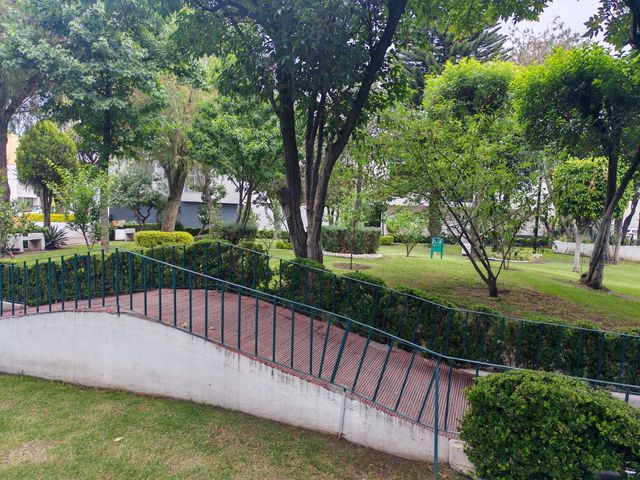 place photo 39