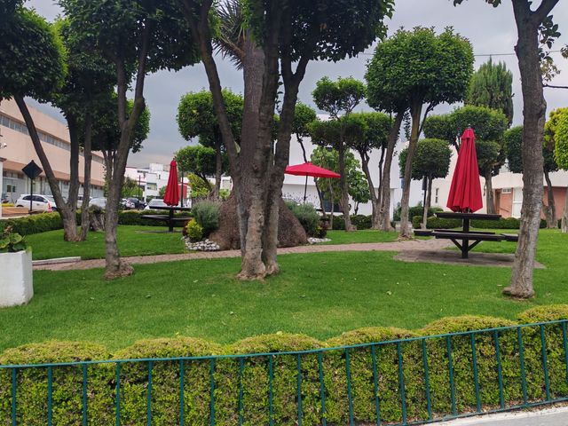 place photo 43