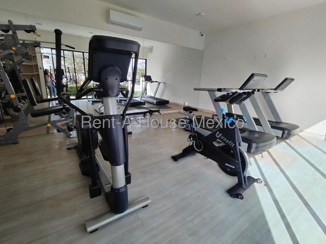 place photo 37