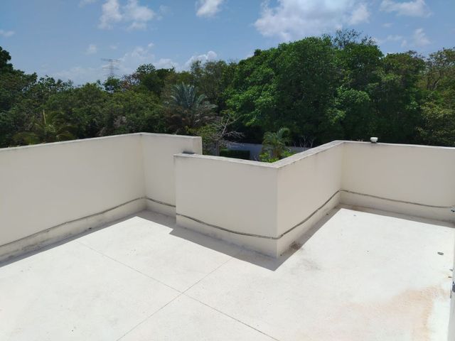 place photo 36