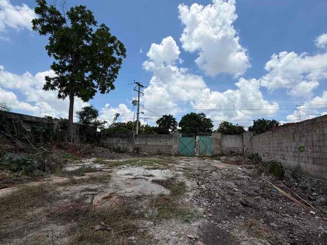 place photo 9