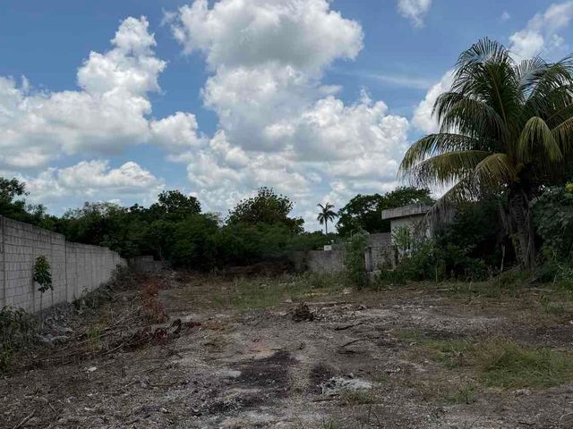 place photo 10