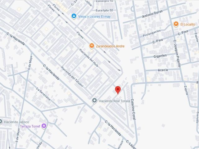 place photo 7