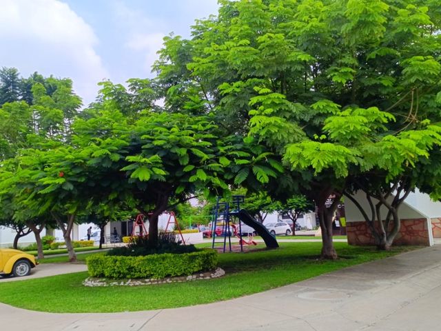 place photo 32