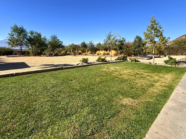 place photo 52