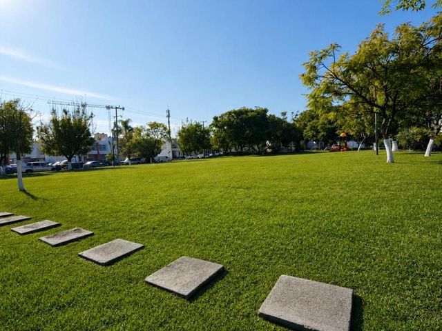 place photo 27