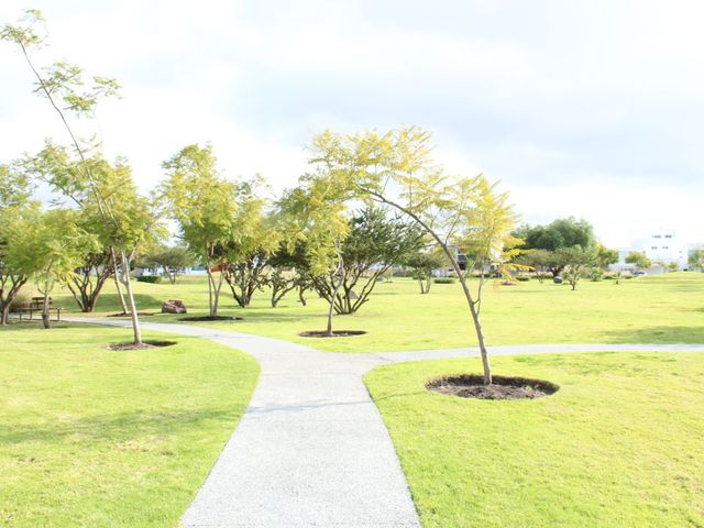 place photo 37