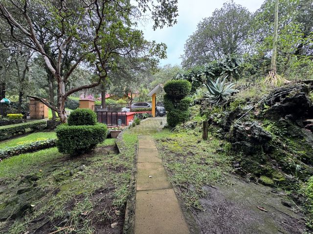 place photo 36