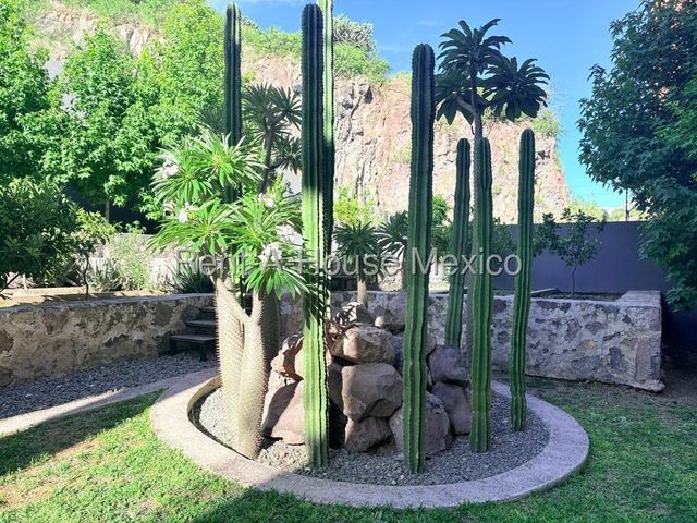 place photo 36