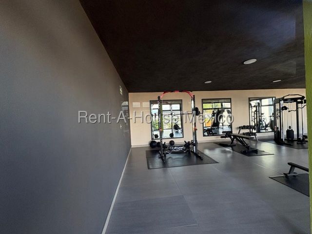 place photo 47