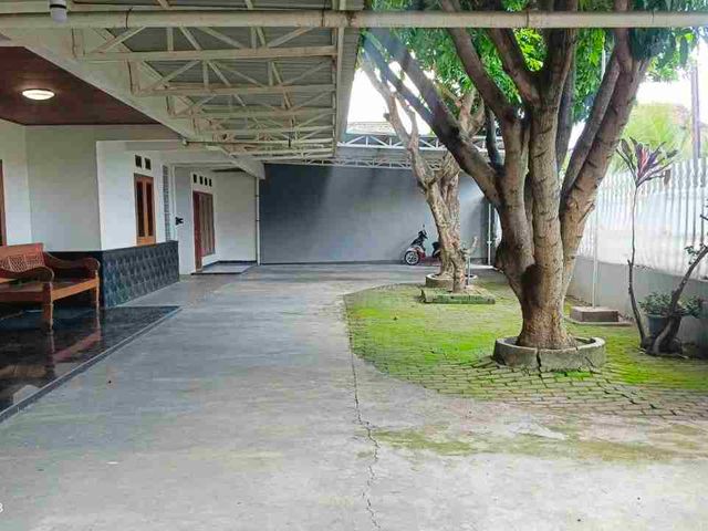 place photo 20