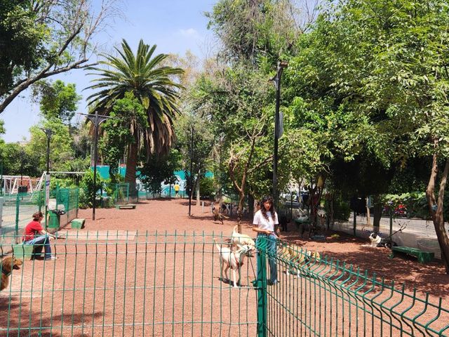 place photo 29