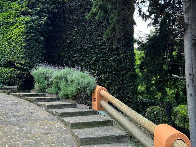 place photo 30