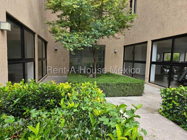 place photo 49