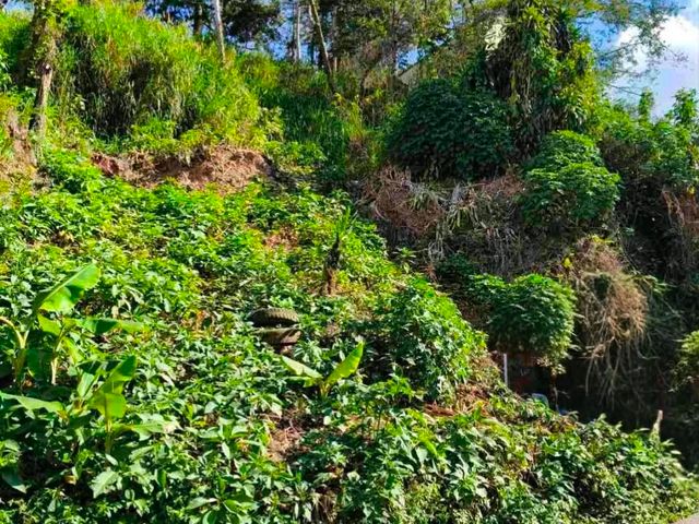 Residential Lot near Schools in Baguio City