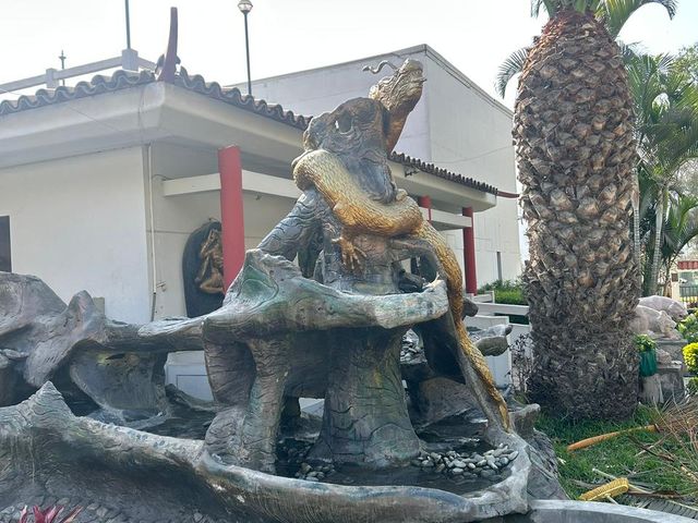 place photo 34