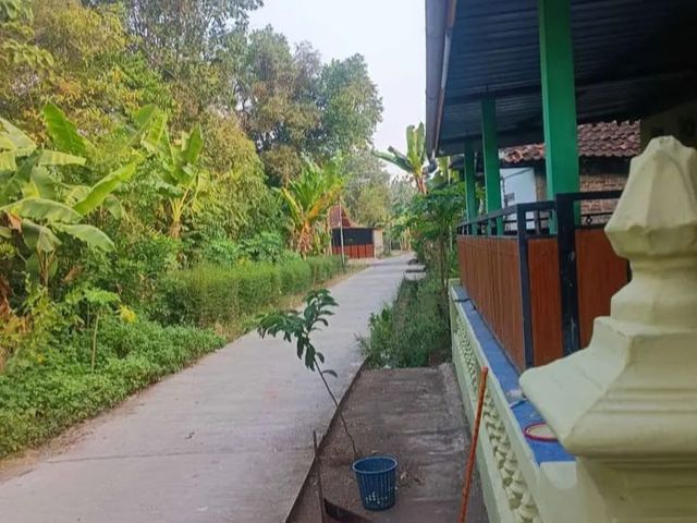 place photo 5