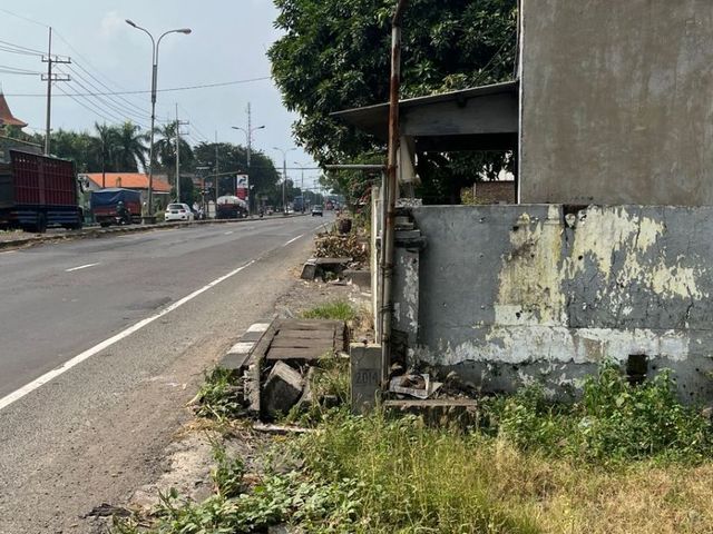 place photo 3