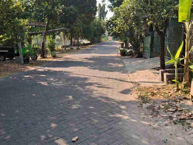 place photo 11
