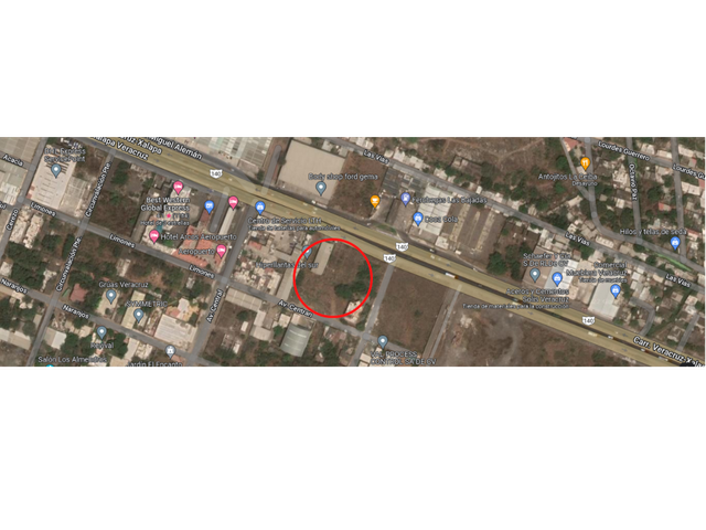 place photo 7