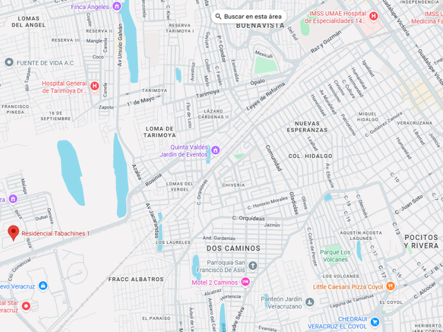 place photo 8