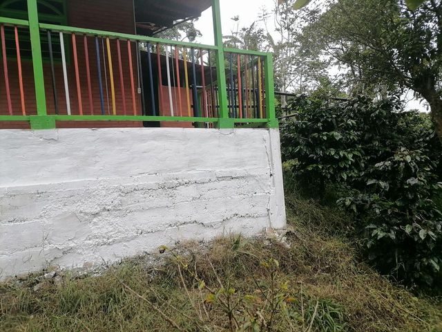 place photo 46