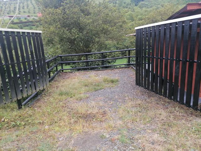 place photo 48