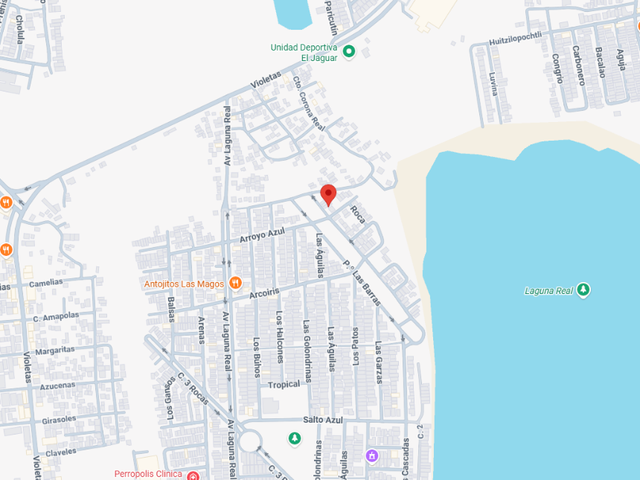 place photo 7