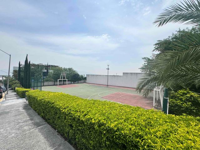 place photo 36