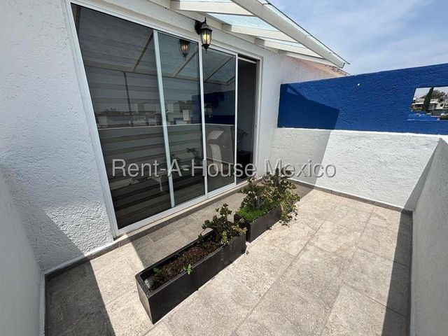 place photo 26