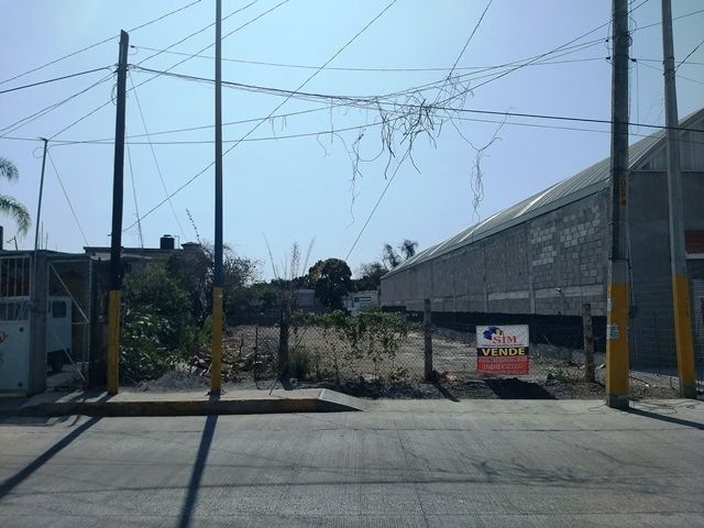 place photo 3