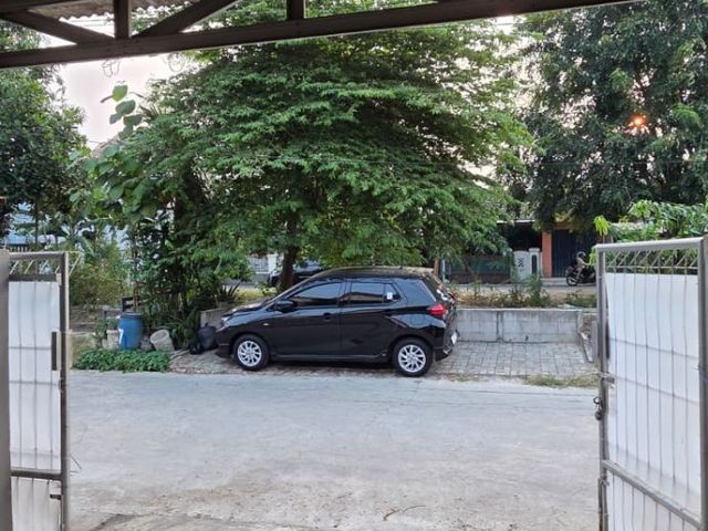 place photo 18