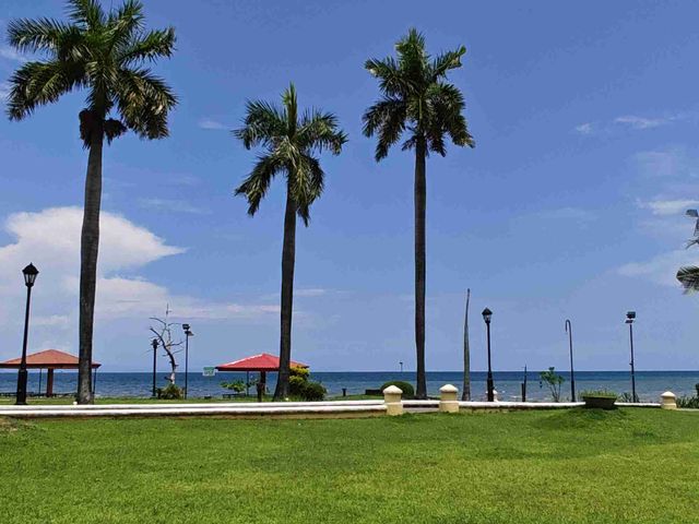place photo 36