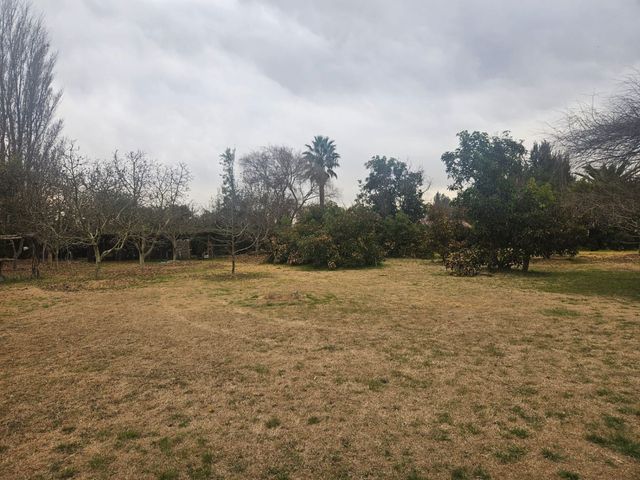 place photo 52
