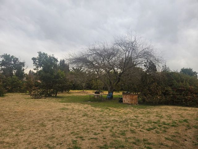 place photo 53