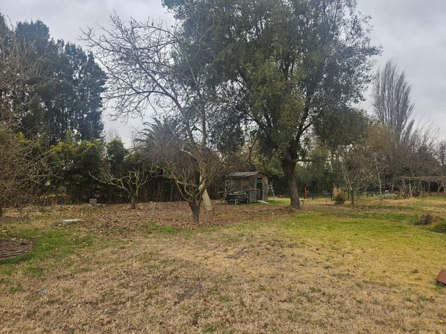 place photo 57