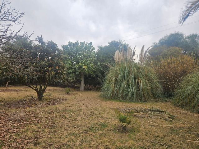 place photo 58