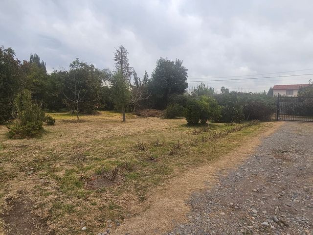 place photo 59