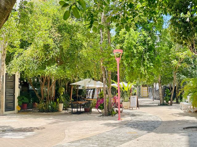 place photo 24